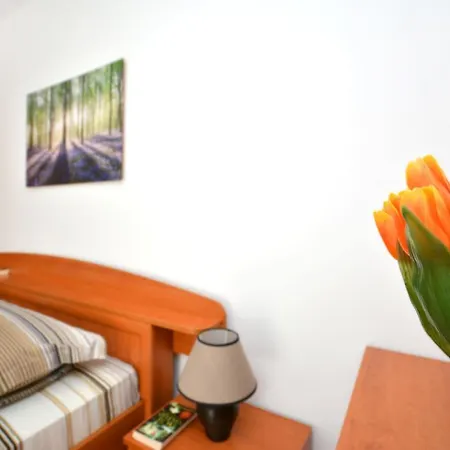 Apartman Tina *